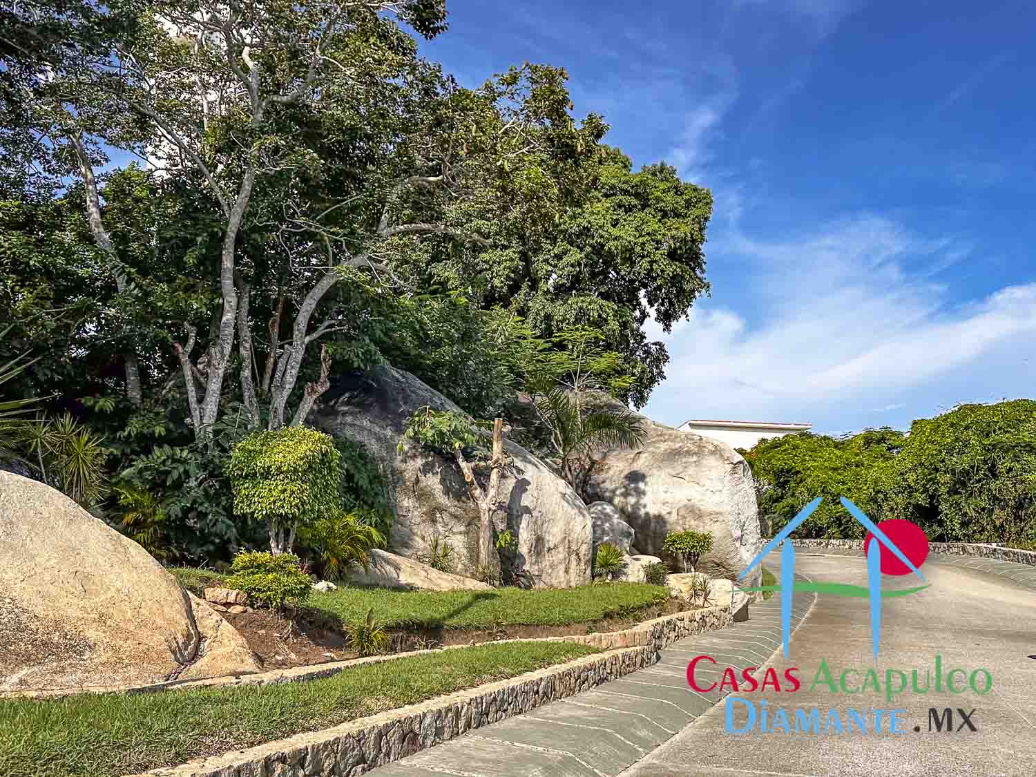 Terreno La Cima PS 14, 15 y 16 - Vialidades La Cima 11 Terreno La Cima PS 14, 15 y 16 - Vialidades La Cima 11